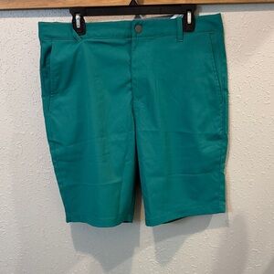 Puma Men's Teal Flat Front Shorts